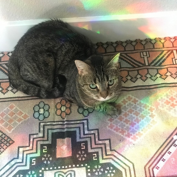 Lela, Los Angelesβ- Thanks for stopping by! π - Picture 1 of 1